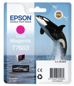 Epson T7603 vivid magenta Tintenpatrone 25.9 ml ca. 1400 Seiten UltraChrome HD C13T76034010 